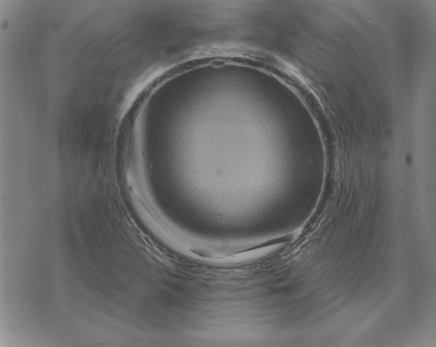 X0000071851312200607141740