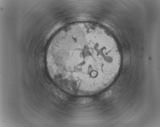 X0000071851314200607141740