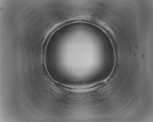 X0000071851316200607141740