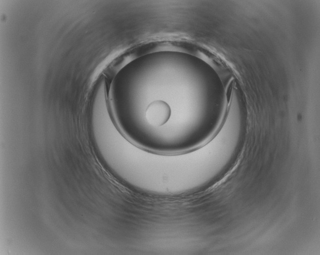 X0000071851317200607141740