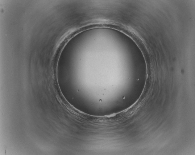 X0000071851318200607141740