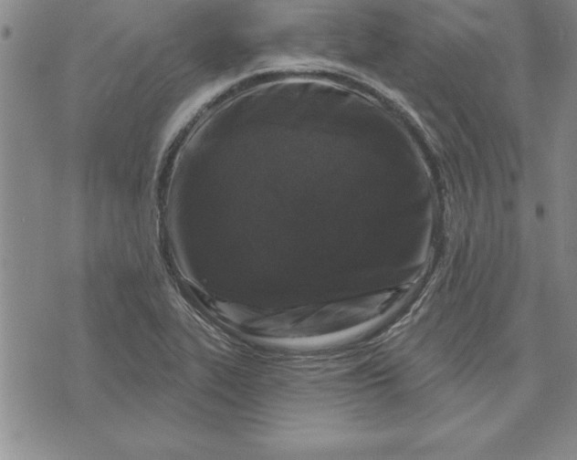 X0000071851319200607141740