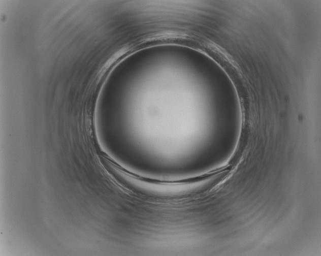 X0000071851321200607141740