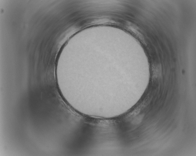 X0000071851322200607141740