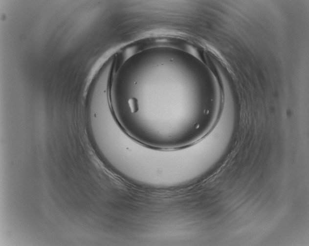 X0000071851323200607141740