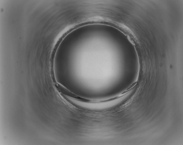 X0000071851326200607141740