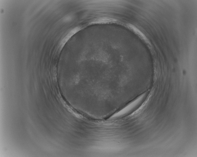 X0000071851329200607141740