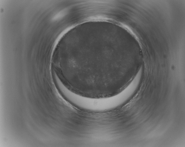 X0000071851331200607141740