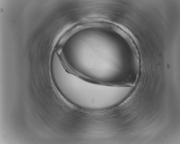 X0000071851333200607141740