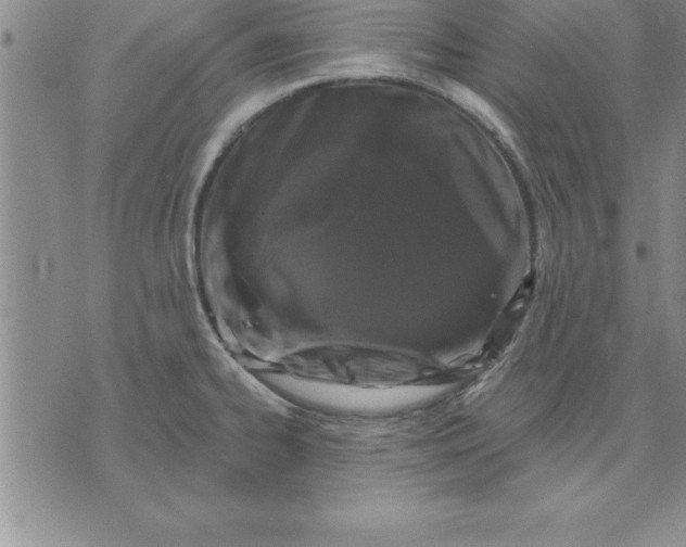 X0000071851334200607141740