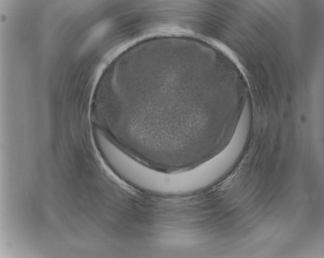 X0000071851335200607141741