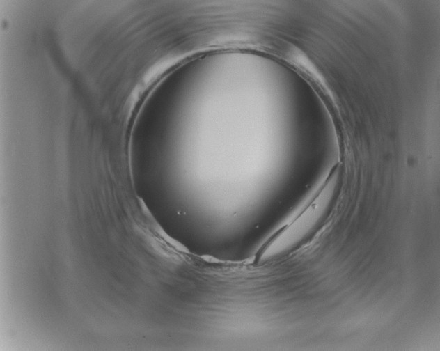 X0000071851336200607141741