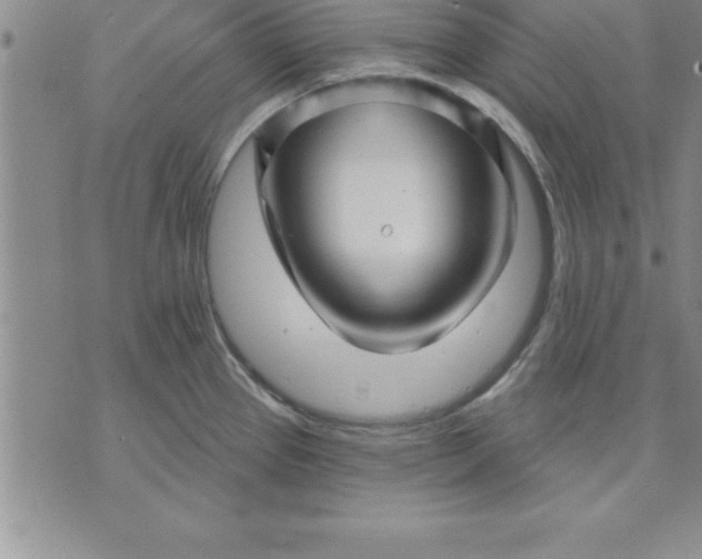 X0000071851337200607141741