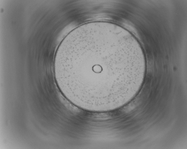 X0000071851338200607141741