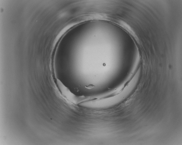 X0000071851339200607141741