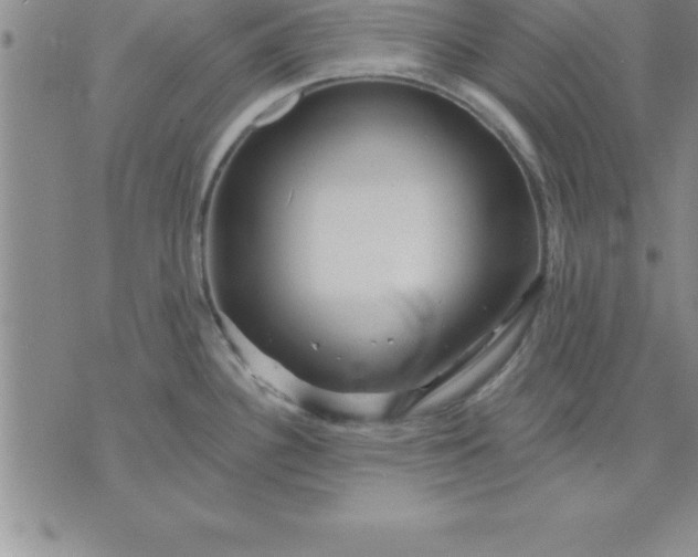 X0000071851340200607141741