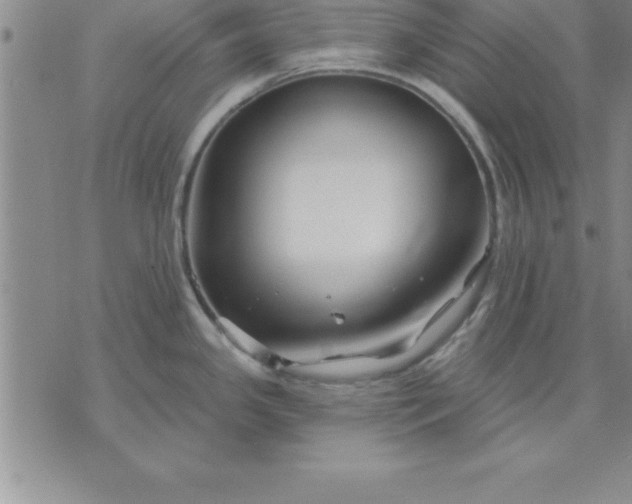 X0000071851341200607141741