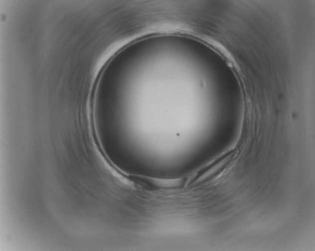 X0000071851343200607141741