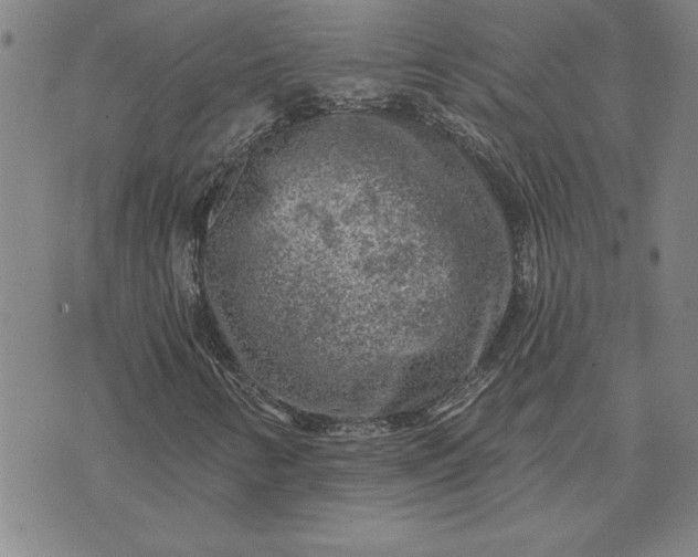 X0000071851346200607141740