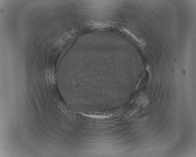 X0000071851348200607141740