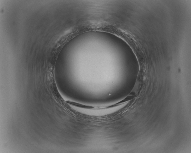 X0000071851349200607141740