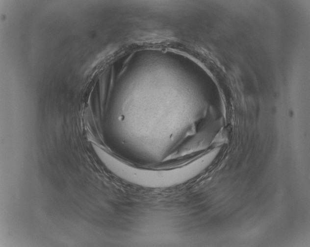 X0000071851350200607141740