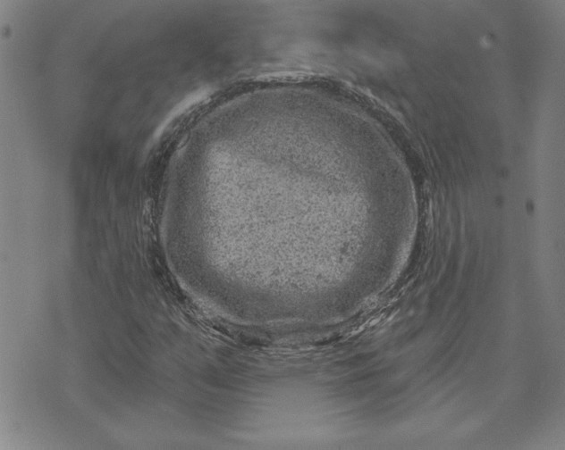 X0000071851351200607141740