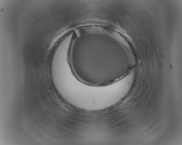 X0000071851352200607141740