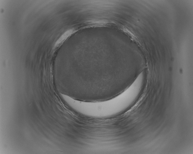 X0000071851354200607141740