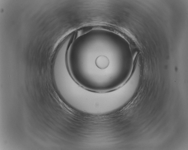 X0000071851356200607141740