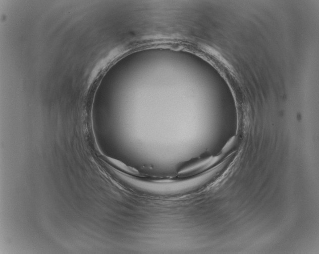 X0000071851357200607141740