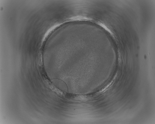 X0000071851358200607141740