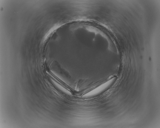 X0000071851359200607141740