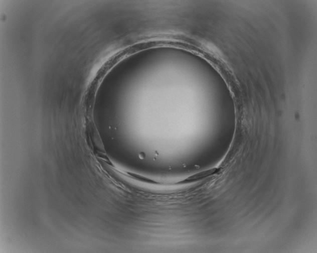 X0000071851360200607141740