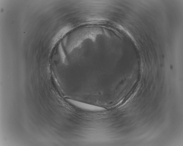 X0000071851362200607141740