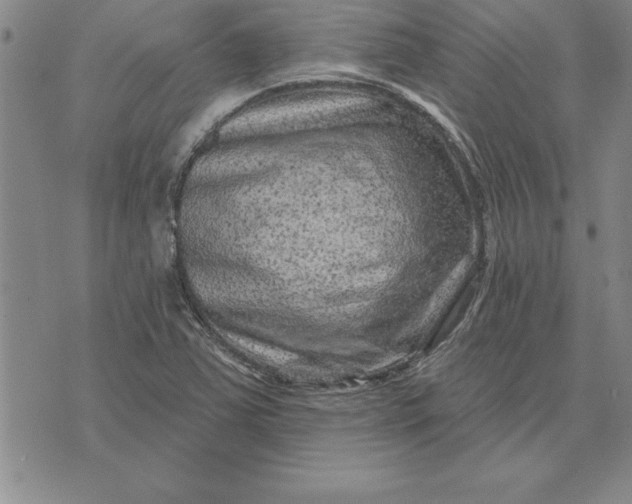 X0000071851363200607141740