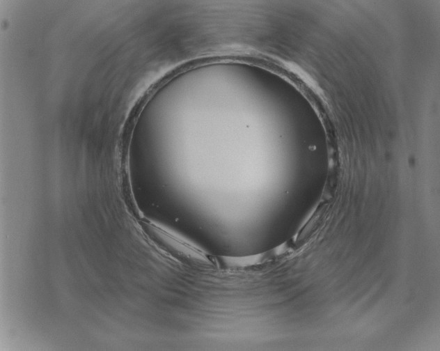 X0000071851364200607141740