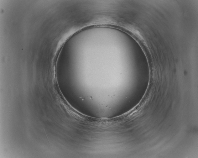 X0000071851366200607141740