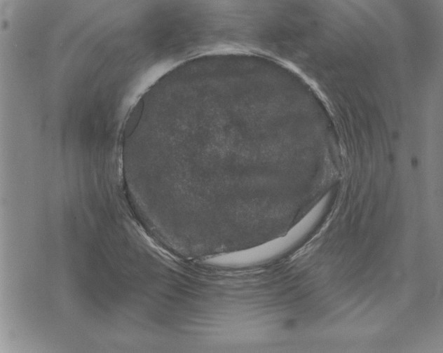 X0000071851367200607141740