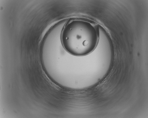 X0000071851368200607141740