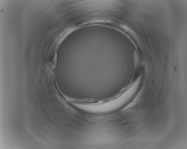 X0000071851369200607141739