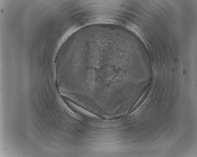 X0000071851371200607141739