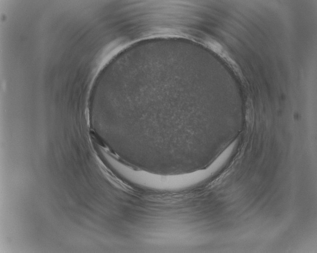 X0000071851372200607141739