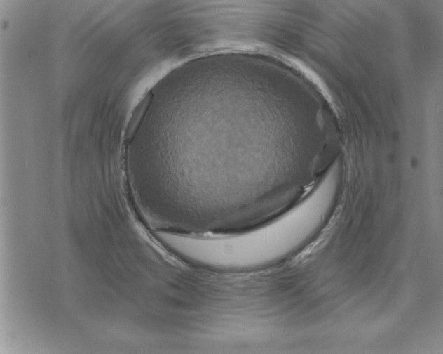 X0000071851373200607141739