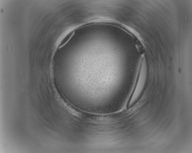 X0000071851375200607141739