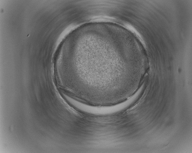 X0000071851376200607141739