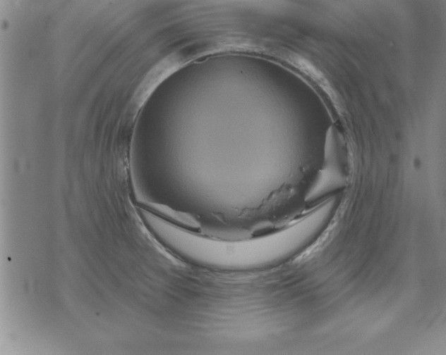 X0000071851377200607141739