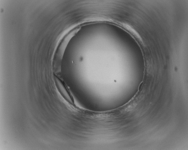 X0000071851380200607141739