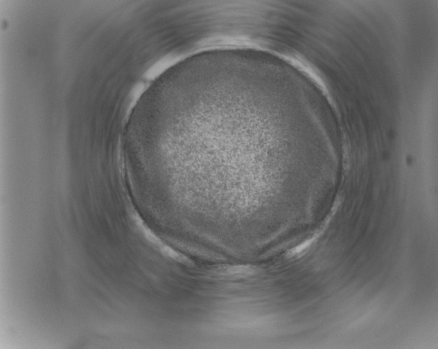 X0000071851382200607141739