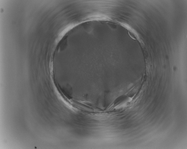 X0000071851383200607141739